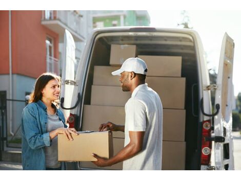 Empresa de Logística com Utilitário em Furnas