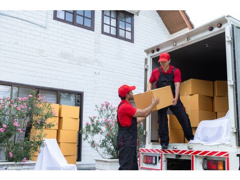 Entrega de Encomenda com HR em Furnas