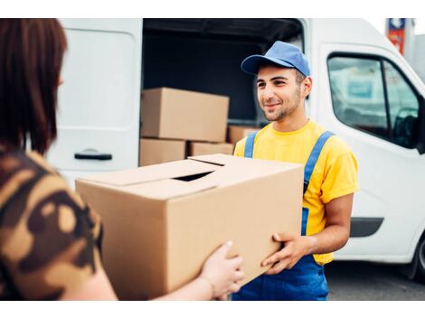 Entrega de Mercadorias com Vans em Furnas