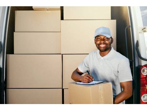 Empresa de Logística com Vans em Lauzane Paulista