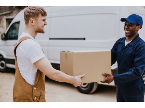 Empresa de Entrega com Utilitário em Pirituba