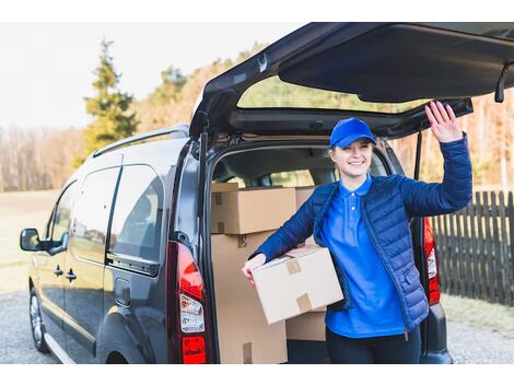 Serviço de Entrega com Carro de Passeio no Jaçanã