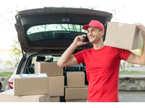 Entrega de Mercadorias com Carro de Passeio no Tremembé