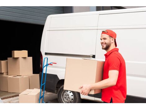 Entrega de Mercadorias com Utilitário no Tremembé