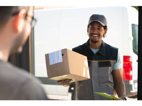 Serviço de Entrega com Vans na Zona Sul